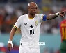 [월드컵] '아이유 보유국' 가나 공격 조심하라…벤투 감독도 '경계'