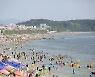 2024년 해양스포츠제전 대천서 열린다