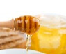 건강식품 ‘꿀’은 설탕보다 혈당 덜 올릴까?