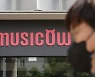 "미술·한우 조각투자도 증권투자"…뮤직카우는 제재 면제