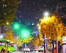 서울·인천에 올겨울 '첫눈' 내렸다…"눈 쌓이진 않을 듯"