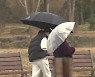 극심한 가뭄 속 '반가운 단비'..광양 백운산 141mm