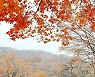 [포토친구] 가을바람 부는 언덕