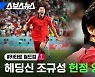[스브스뉴스] 다시 봐도 짜릿한 '조규성 활약상' 모음집
