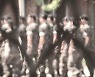 [Pick] "내가 말하면 숨 참아!"…후임병 '숨쉬기' 통제한 선임