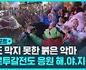 [D리포트] 환호와 탄식…"졌지만 잘 싸웠다"