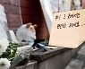 이태원 참사 한 달…텅 빈 거리에는 슬픔만 남았다
