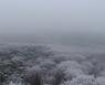 한라산 첫 눈...모레까지 적설량 7cm 예상