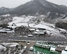 [영상]올 겨울 전남 '첫눈'..영광 지역 적설량 2.6cm