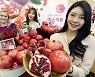 [포토] 겨울 제철, 미국 석류 출시