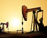 [국제유가] 中 제로코로나 규제 완화·OPEC+ 회의 앞두고 관망세