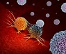 기적의 면역항암제 'NK세포 치료제', 상용화 언제되나?
