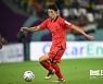 [카타르 WC 스타] '기성용 영입했던' 셀틱, 조규성 강력히 원한다…월드컵 전부터 '눈독'