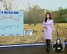 대구·경북 점차 평년 기온 회복…주말엔 흐려요