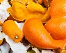 귤 껍질 아무리 좋아도 차로 마시기 싫다면… '만점' 활용법은?