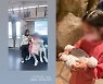 기성용, 큰그림 있었나?…♥한혜진 "고생 많았다고…"