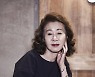 윤여정, 결국 후크와 결별.."사실 무근"→"늘 응원" [종합]