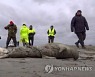 Russia Dead Seals
