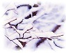 [설왕설래] 대설(大雪)