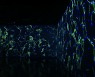 [영상구성] 마법 같은 가상 세계…미구엘 슈발리에 '디지털 뷰티'