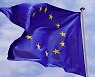 美·中 보호무역 맞서… EU, 친환경 산업 보조금 강화