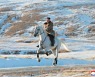 北이 수입한 러시아산 말 50여 마리…“별장 승마장용 등” 관측