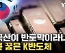 [자막뉴스] 韓 반도체 추락하는 사이...실적 싹쓸이한 기업