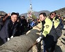 4년 만에 ‘영차영차’ … 대보름 진동큰줄다리기 개최