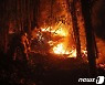 칠레 산불에 사망자 최소 24명으로 늘어…불길 260건 계속