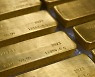 각국 중앙은행의 ‘금 사재기’에도 한국은행 금 보유 10년째 그대로인 이유는