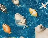 더핑크퐁컴퍼니 유튜브 채널 ‘씰룩’, 구독자 10만명 돌파… 실버버튼 수상