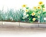 [길섶에서] 입춘의 희망/박현갑 논설위원