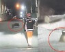 한밤중 부산 도심에 '멧돼지' 출몰…3마리 중 1마리 사살