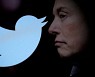 “트위터에 아동 성착취물 여전” 빈말 된 머스크의 ‘근절’ 약속