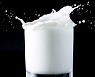 자꾸 가격 오르니, 흰우유 판매량 ‘뚝’ … 가성비 멸균 우유·PB 상품 인기는 ‘쑥’