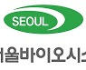 서울바이오시스, 지난해 4분기 영업손실 113억…"적자폭 줄어"