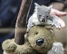 Germany Zoo