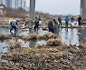 광주 황룡강서 물고기 집단 폐사…구청 원인 조사 중