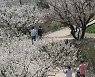 [오늘의 날씨] 울산(18일, 토)…대체로 흐리다가 오후 차차 맑음
