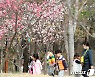 [오늘의 날씨]전북(18일, 토)…대기 건조 '산불주의'