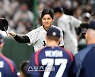 비정한 승부의 세계지만...그래도 야구는 '낭만'이 있다 [SS시선집중]