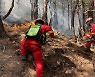 평창 '산불 1단계' 발령‥민가 3가구 대피
