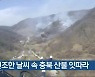 건조한 날씨 속 충북 산불 잇따라