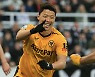 '복귀 5일 만에 또' 황희찬, 햄스트링 부상…클린스만호 합류도 불투명