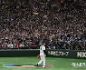 '역대급 인기' 1R 관중 역대 최다 101만명…2017년보다 2배 늘었다 [WBC]