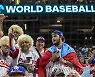 USA BASEBALL
