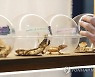 희귀 반려동물에 손길