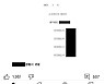이근 전 대위, 명예훼손으로 유튜버 '구제역' 경찰에 고소