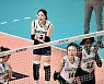 '무릎 수술 예정' 고예림의 투혼..."공격 못 해도 수비 위해 뛸 것"