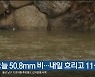 울산 오늘 50.8㎜ 비…내일 흐리고 11~14도